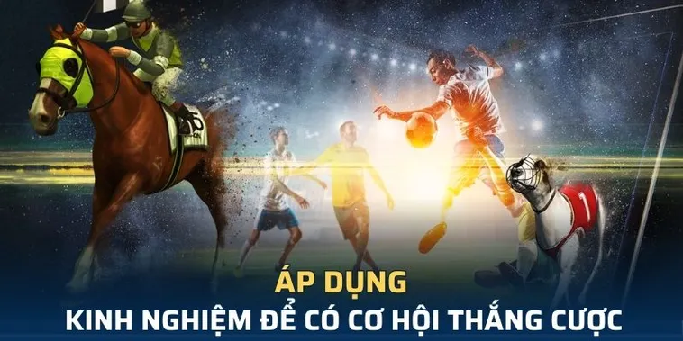 Trải Nghiệm Thế Giới Tìm Hiểu Cá Cược Thể Thao Ảo i5Bet 1 Trải Nghiệm Thế Giới Tìm Hiểu Cá Cược Thể Thao Ảo i5Bet